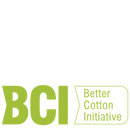 BCI